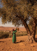 Intense Argan : The Artisanal Hot-Press I 500ml