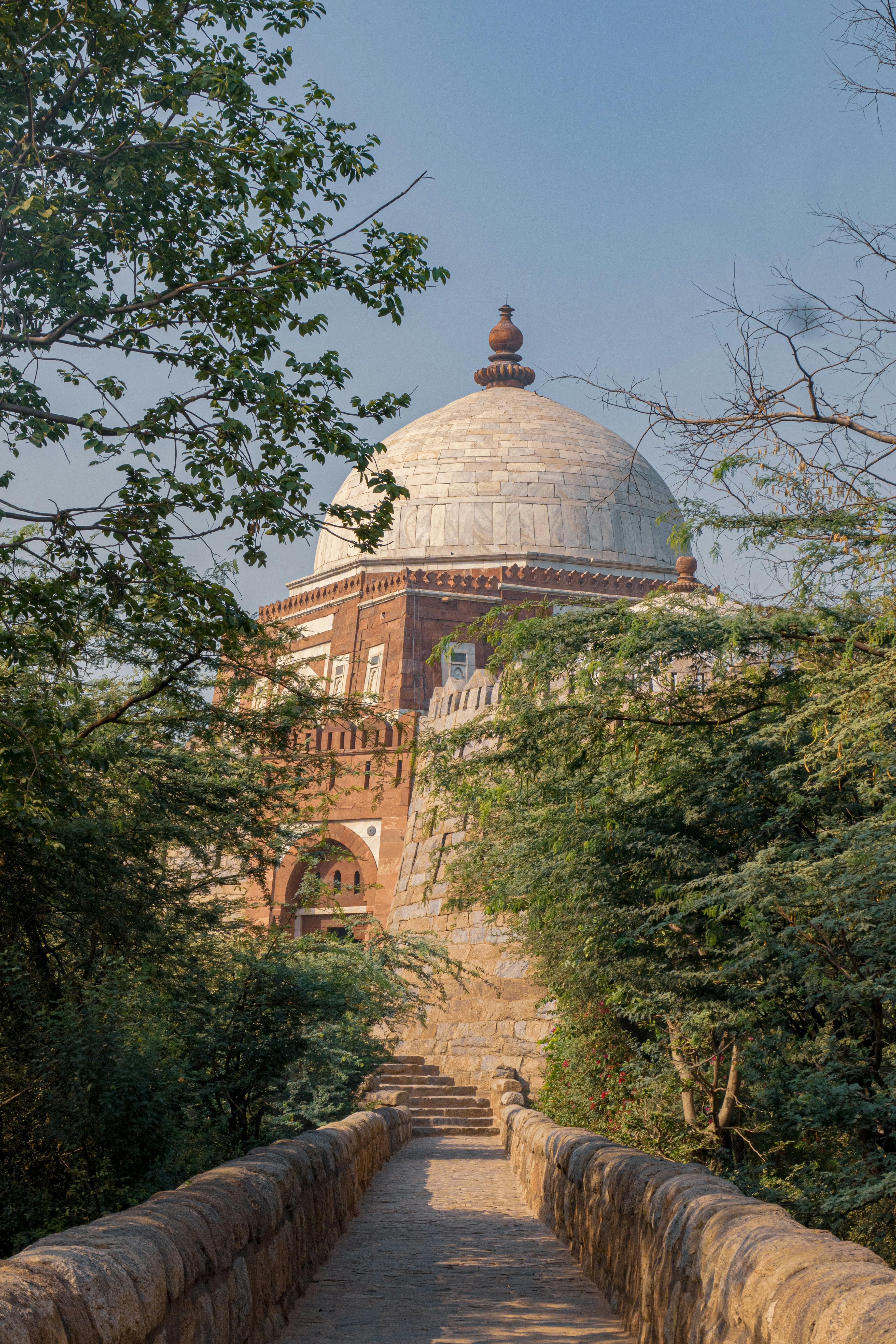 Peshawar Sidr : The Raw Elixir I 125g or 250g